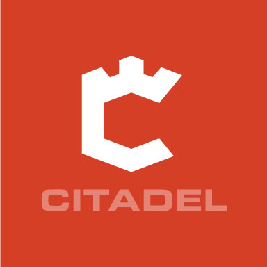 Logo and brand project 2